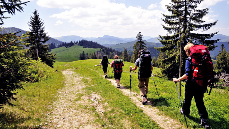National Tourism Administration develops hiking trails in Georgia geotv.ge