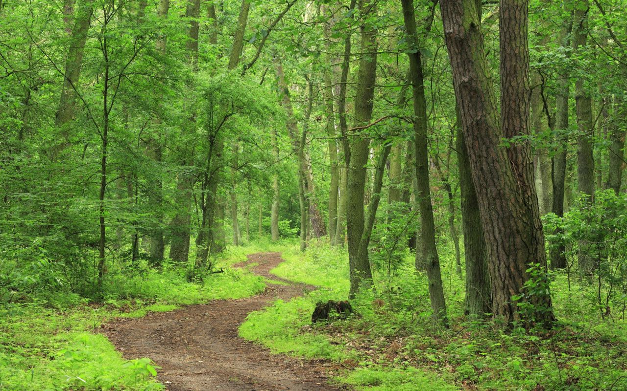 National Tourism Administration develops hiking trails in Georgia geotv.ge