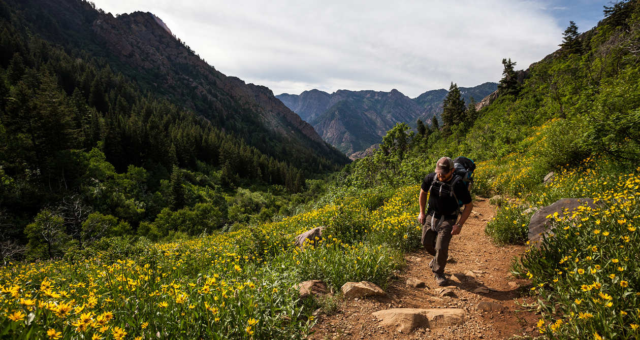 National Tourism Administration develops hiking trails in Georgia geotv.ge