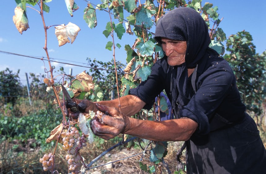 From Georgia to Lebanon: exploring the best wines of the ancient world geotv.ge