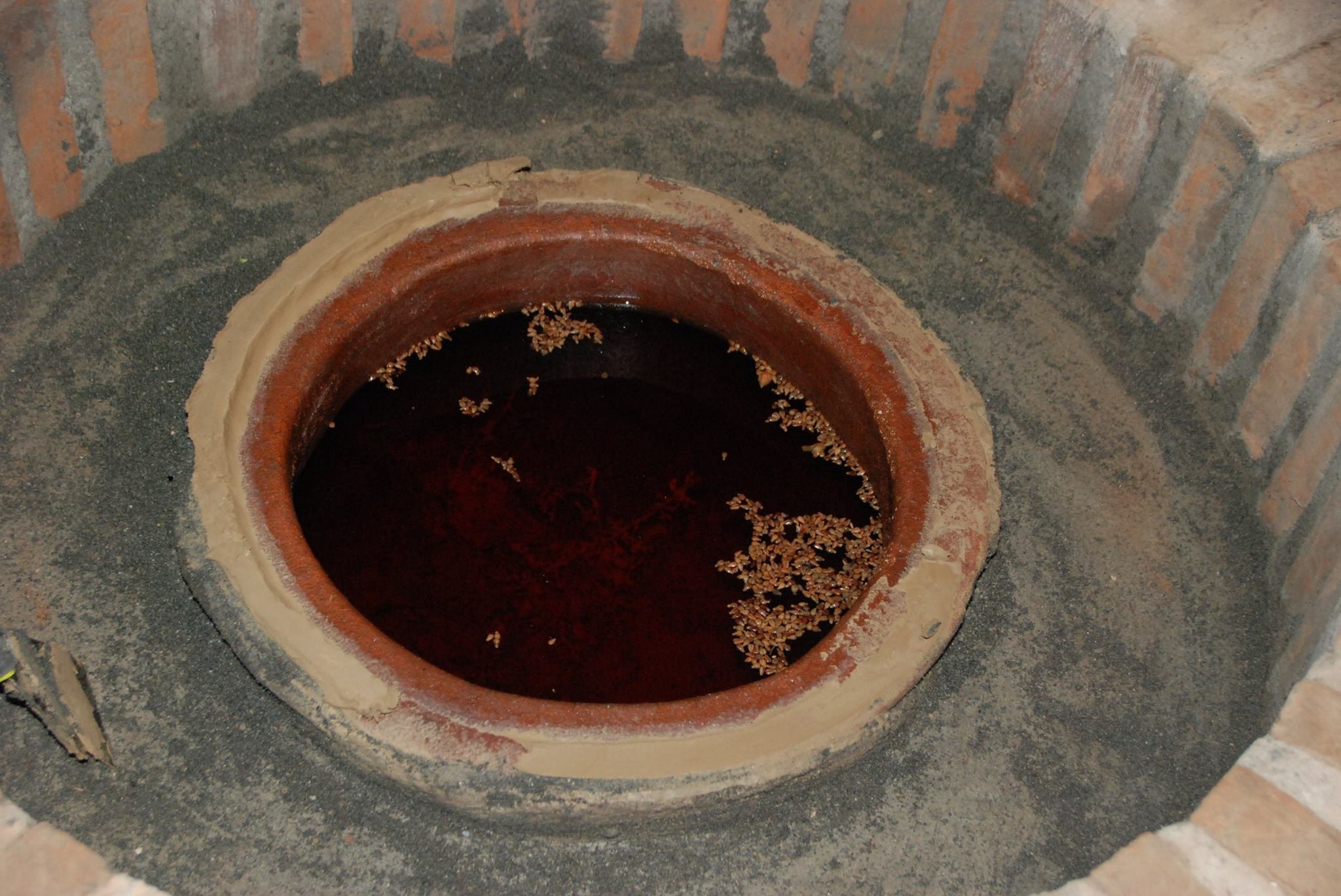 From Georgia to Lebanon: exploring the best wines of the ancient world geotv.ge