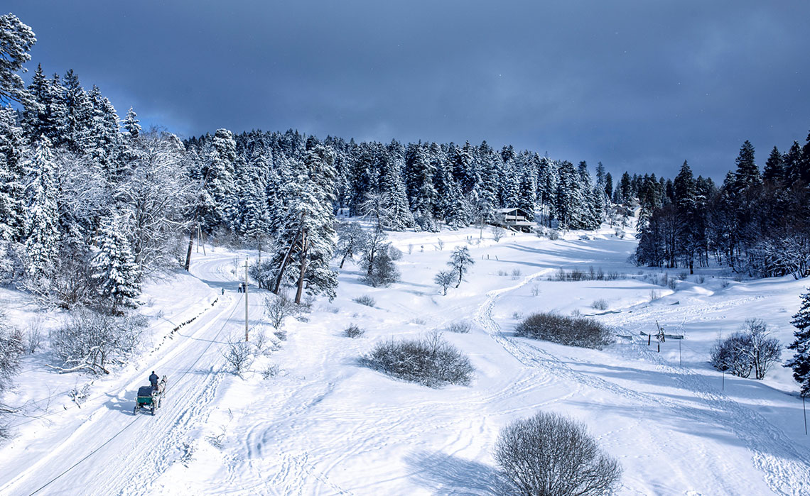 Georgia to host 2023 Freestyle Ski and Snowboard World Championships geotv.ge