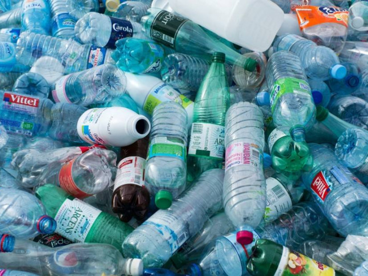 Plastic bottle collector and feeding machines for stray animals to be installed in Tbilisi geotv.ge