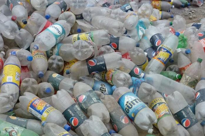 Plastic bottle collector and feeding machines for stray animals to be installed in Tbilisi geotv.ge