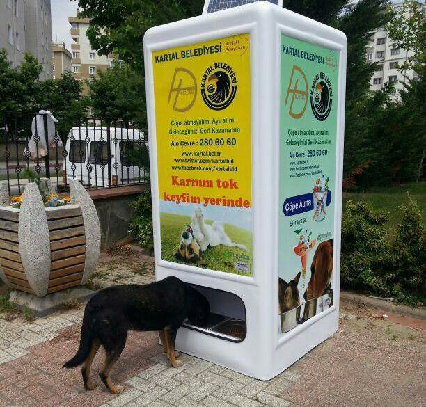 Plastic bottle collector and feeding machines for stray animals to be installed in Tbilisi geotv.ge