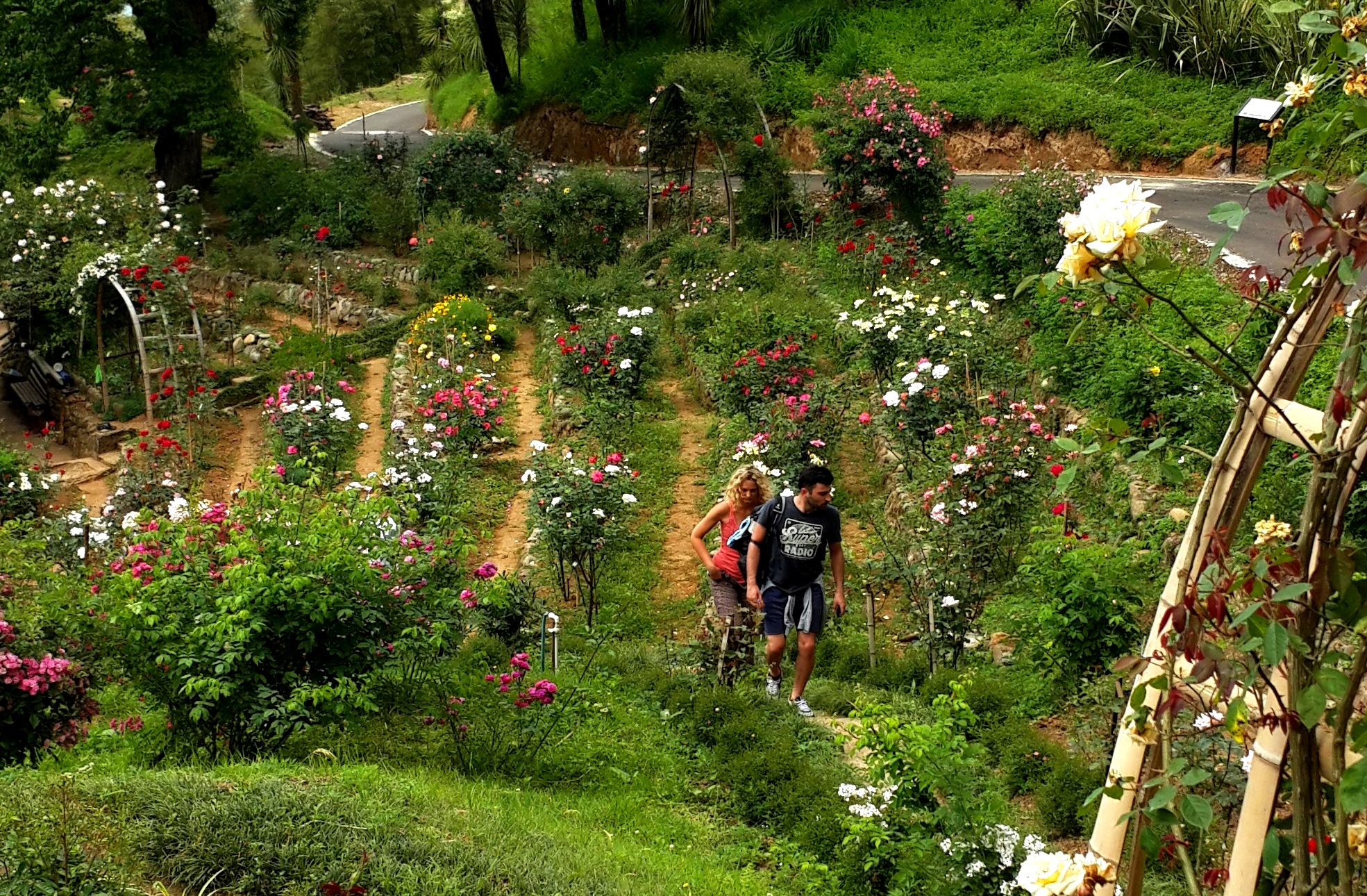 How Tbilisi's recreational zones were built and what is left of them today geotv.ge