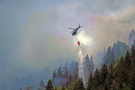 Emergency Management Service - Several hubs remain in the Zeskhos forest area geotv.ge