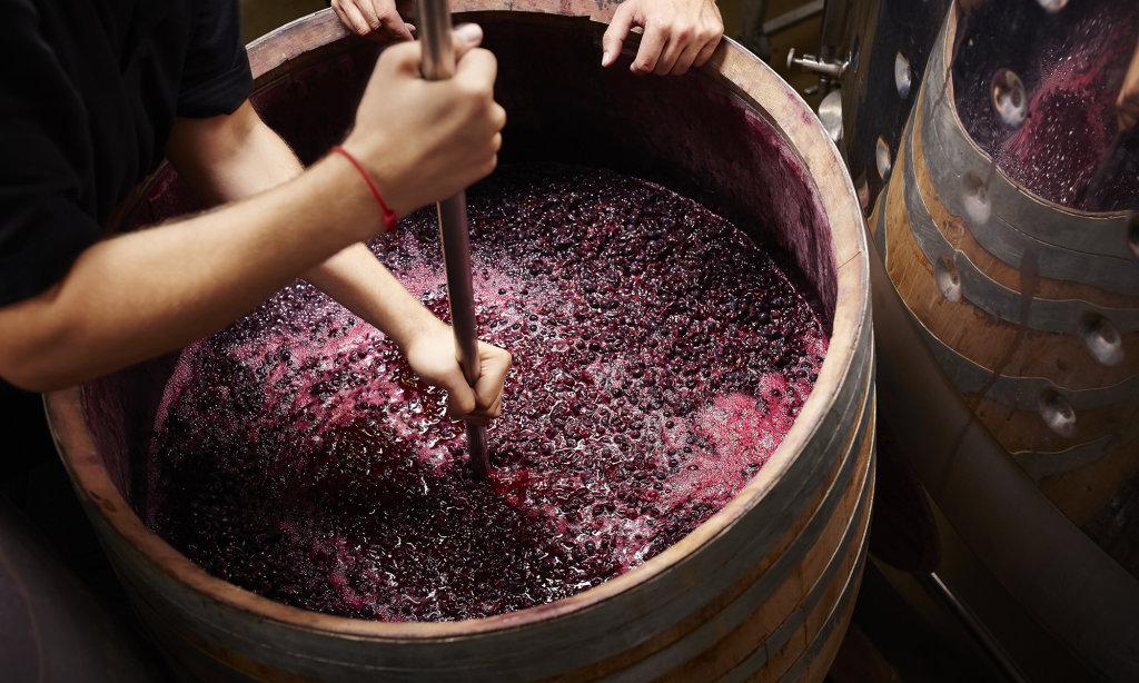 Georgian wine and how to look after vineyards geotv.ge