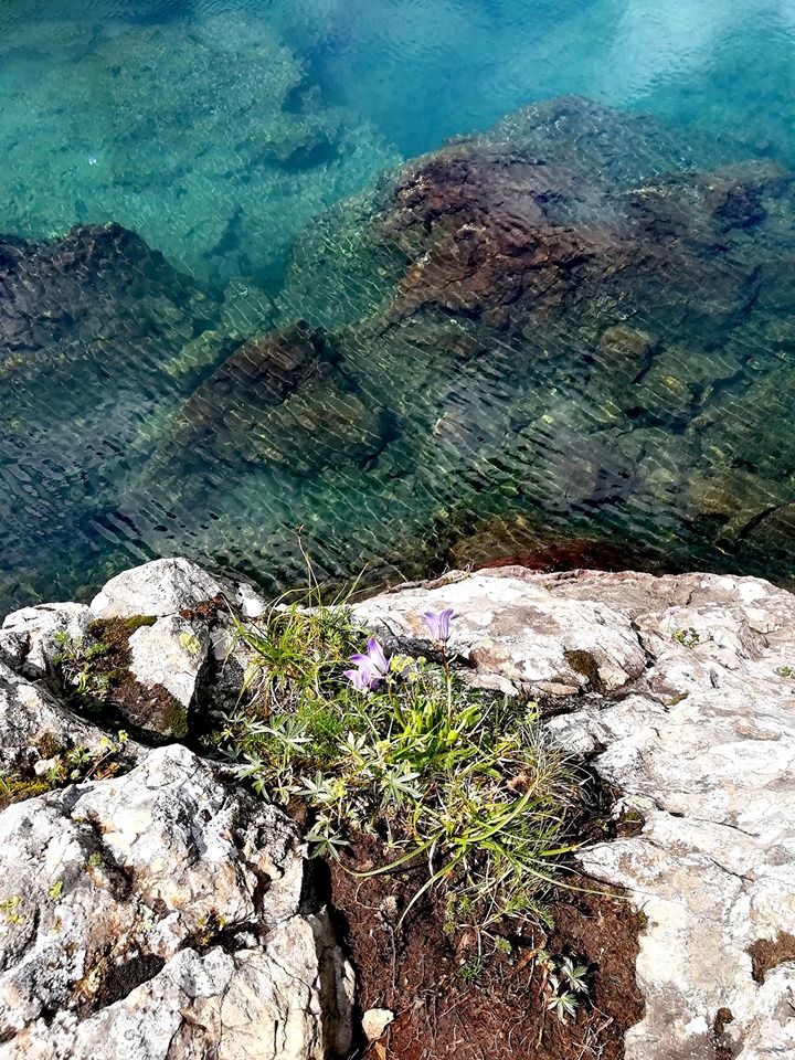 Abudelauri Colorful Lakes – Magical Place to See In Georgia abudelauri_lakes