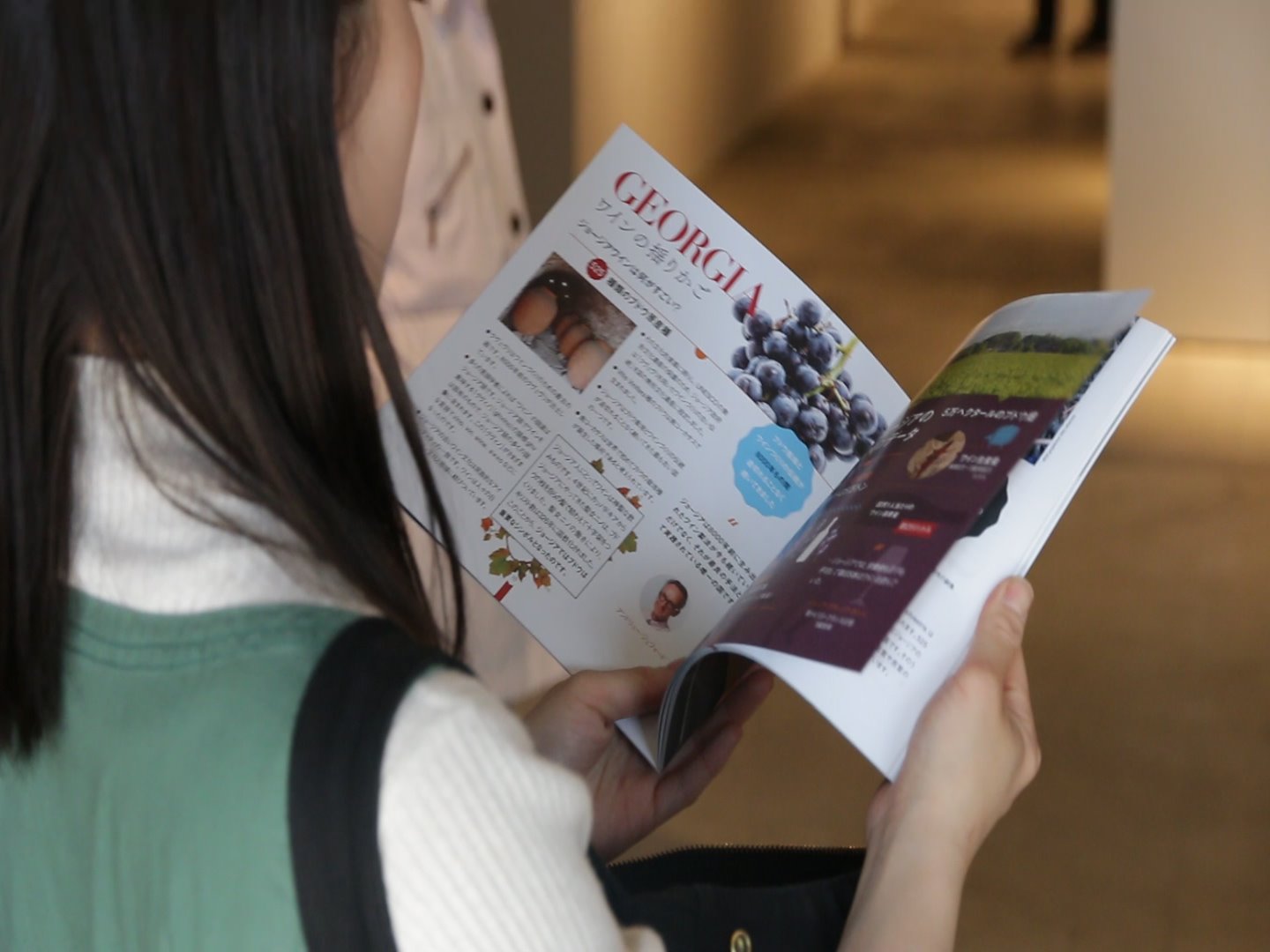 “Georgia – Homeland of Wine” – The project that made the Japanese fall in love with Georgian wine and its technology geotv.ge