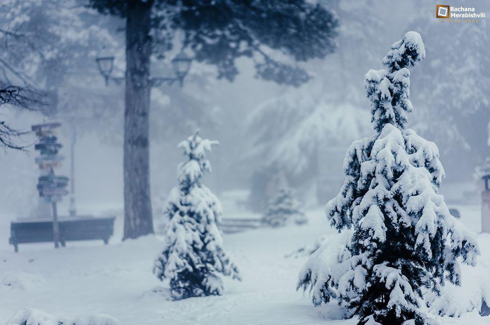 Breathtaking Pictures of Snowy Spring in Georgia geotv.ge