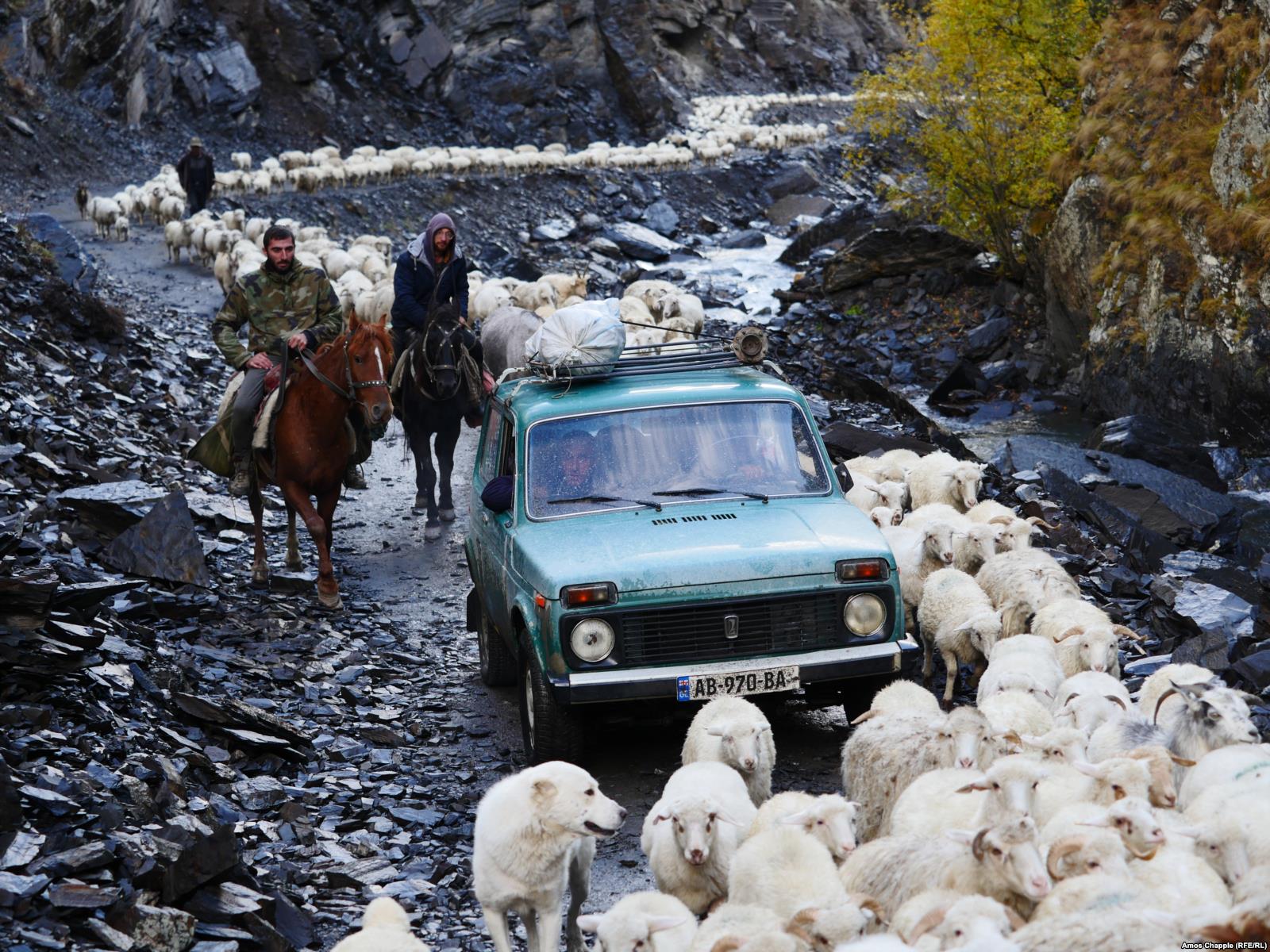 „A deadly, boozy journey“ with the shepherds of Tusheti geotv.ge